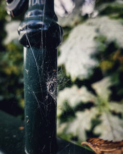 Day 278, 18 October 2025